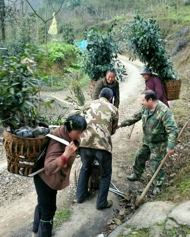 QQ图片20190322151651.jpg QQ图片20190322151651.jpg