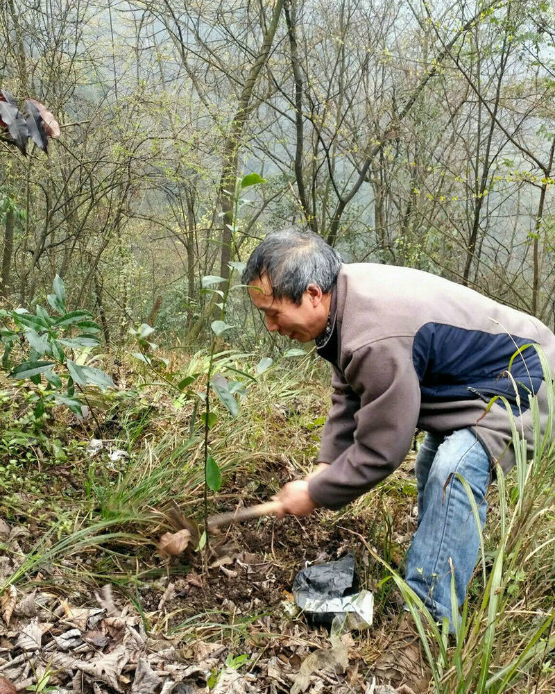 QQ图片20190322151649.jpg QQ图片20190322151649.jpg