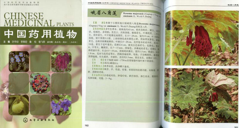 QQ截图20191217100613.jpg