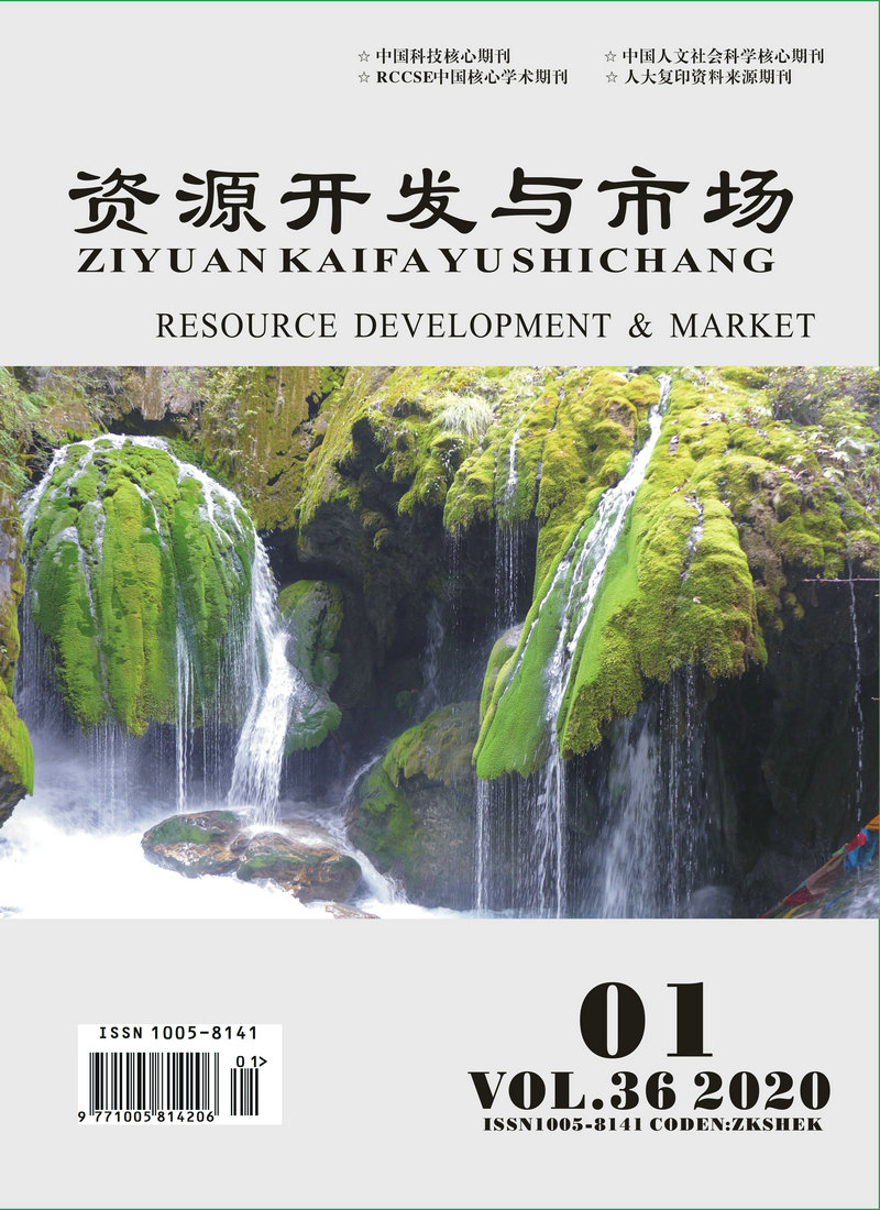 资源开发与市场20年1期封面.jpg