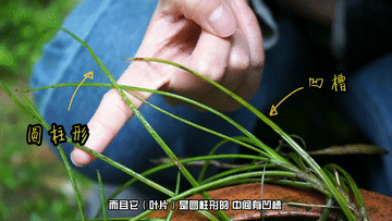 4.gif
