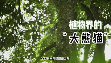 5.gif