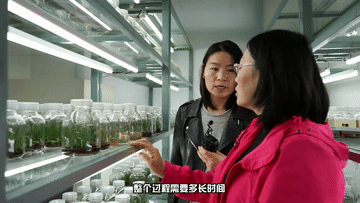 11.gif
