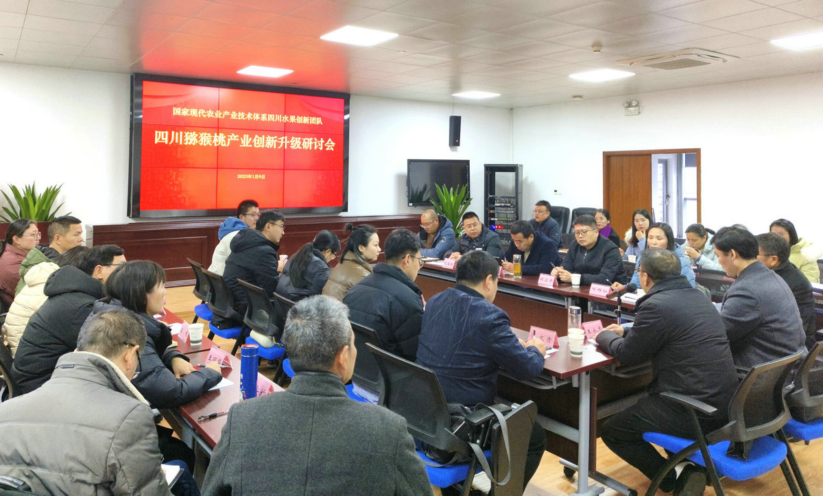 20250106猕猴桃产业升级研讨会 (22).jpg