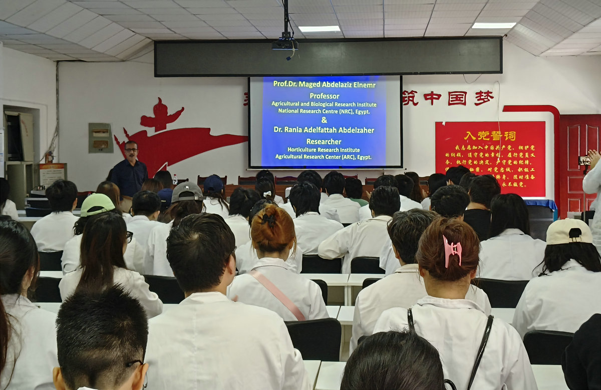20250918成都大学基地实践+埃及专家讲课 (9).jpg