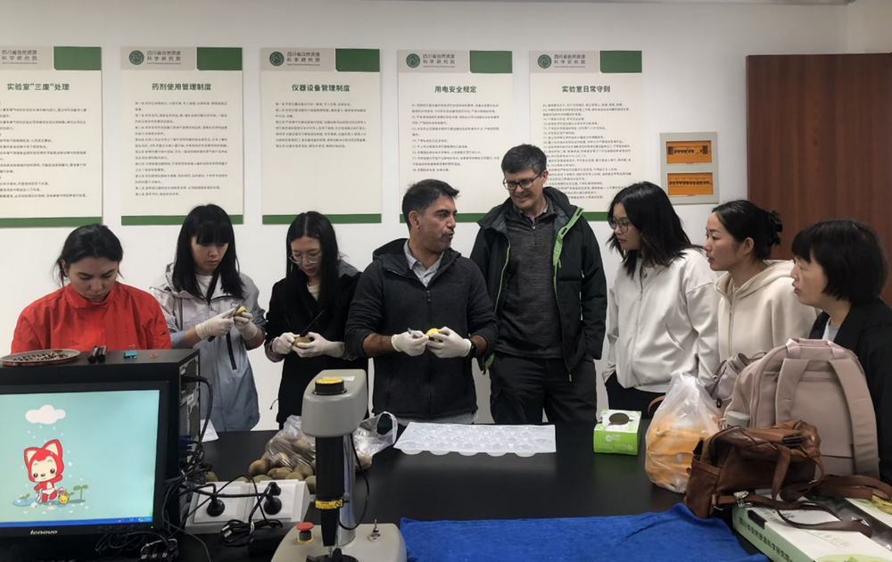 图片2.png 图片2.png